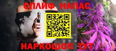 мдпв Дмитров