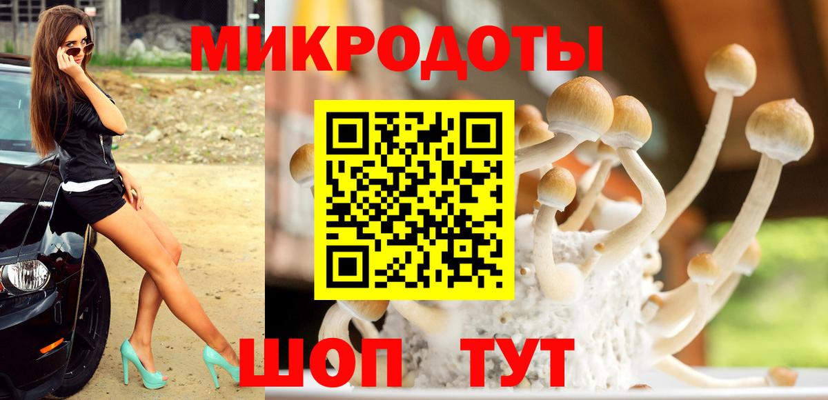 закладки  Псилоцибиновые грибы Psilocybine cubensis  Галлюциногенные грибы мицелий  Вход с VPN  Фролово 